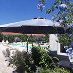 Padolo