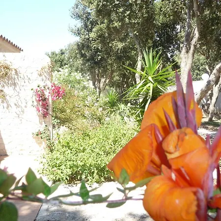 Padolo 3* Bonifacio (Corsica)