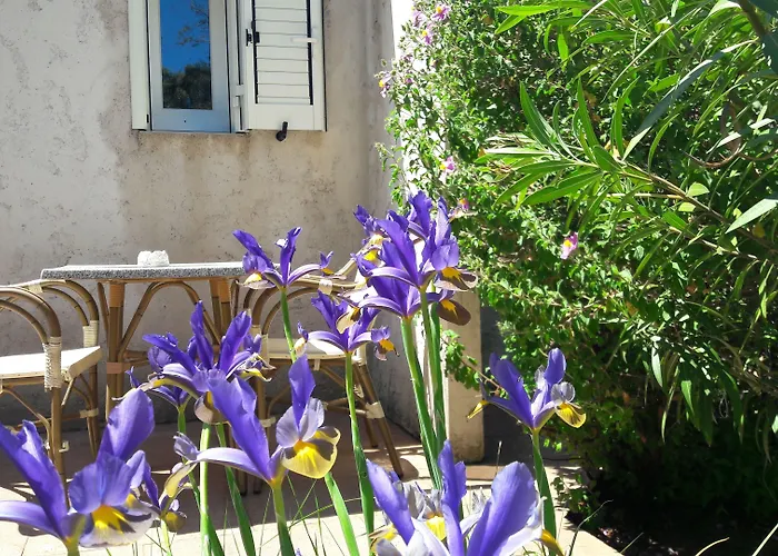 Hotel Padolo Bonifacio (Corsica)