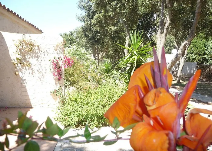 Padolo 3* Bonifacio (Corsica)